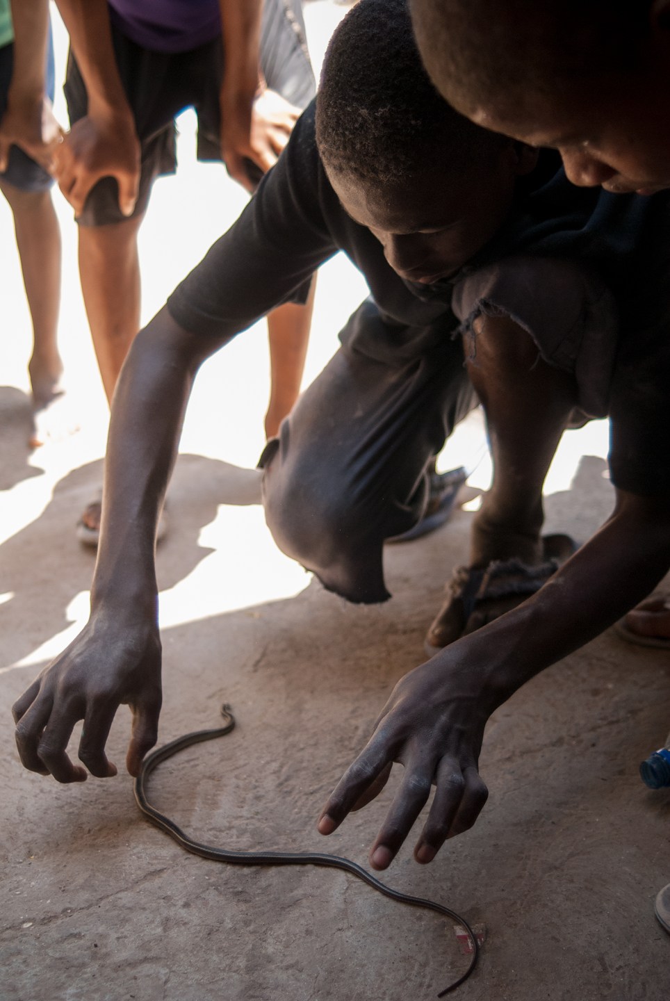 A group of children watches as a boy points at a snake on the ground