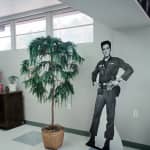 Elvis birthplace museum