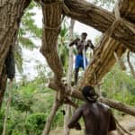 Sawing planks from trees