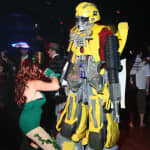 Bumblebee and Poison Ivy