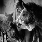 Petaluma horse girl
