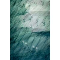 image details