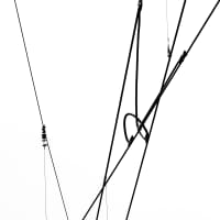 image details