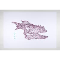image details