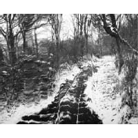 A distorted black and white image of a snowy pathway surrounded by trees
