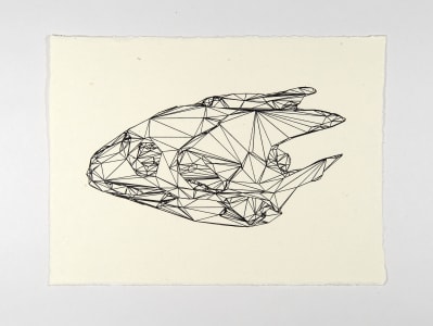 Abstract linear illustration of a fish