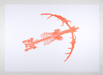 Illustration of a fish skeleton in orange against a white background