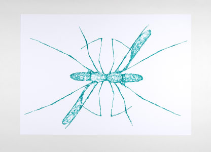 Illustration of an ant in turquoise against a white background