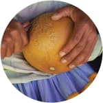 Handmade gourd carving