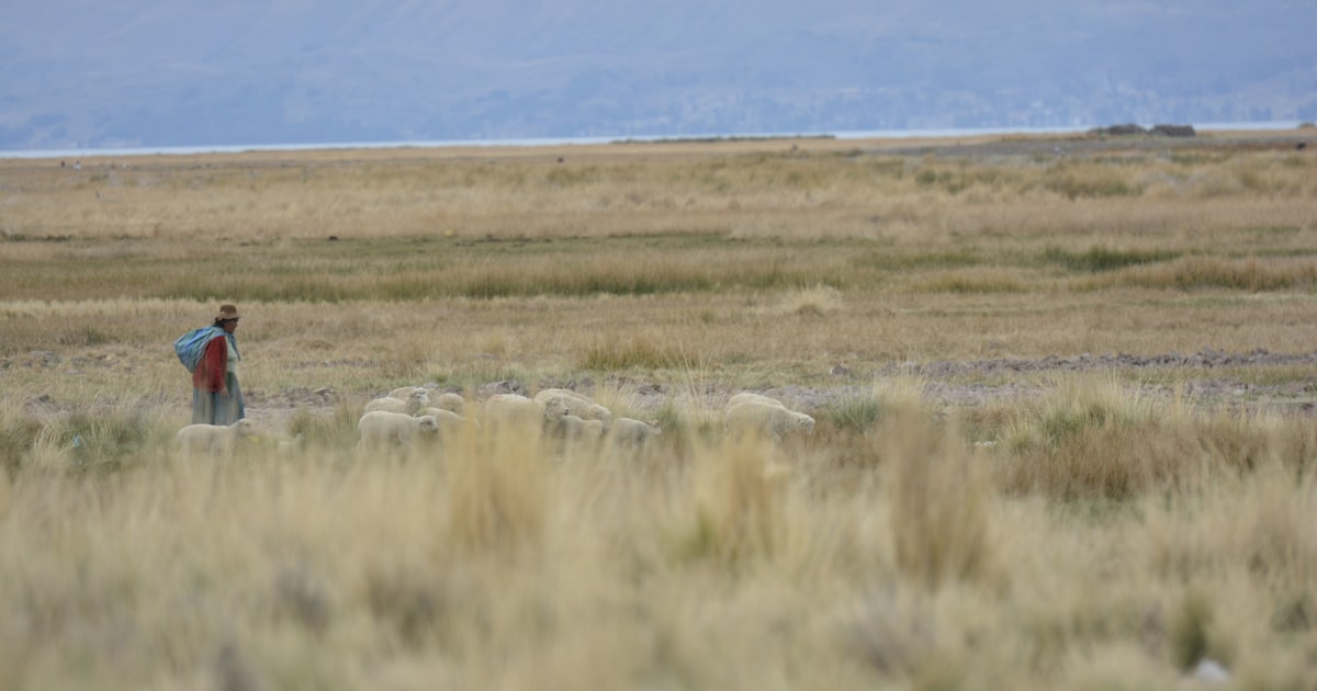 landscape in puno