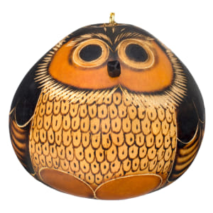 owl gourd