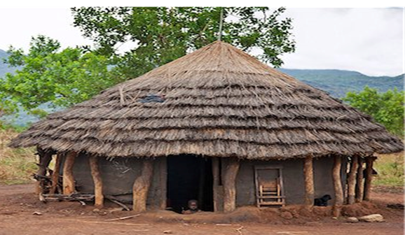 Mud house with supporting logs