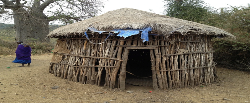 A goat shed