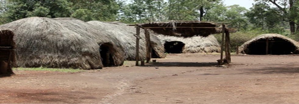 Collection of houses in a homestead