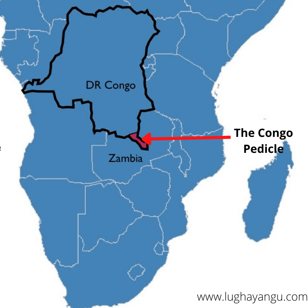 The Congo Pedicle