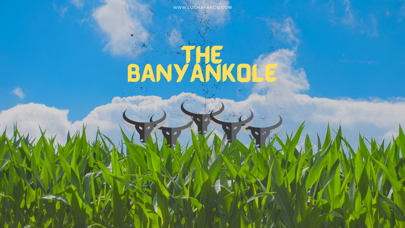 Banyankole