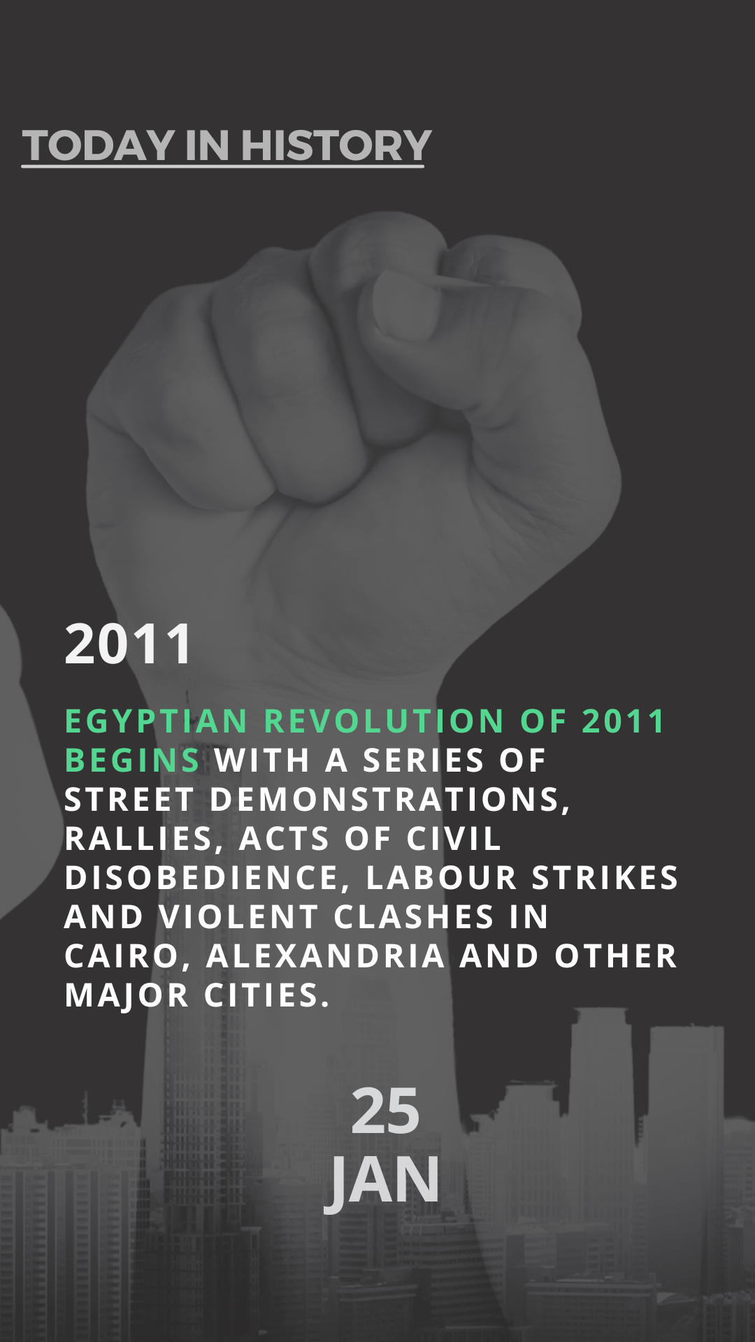 The Egyptian Revolution