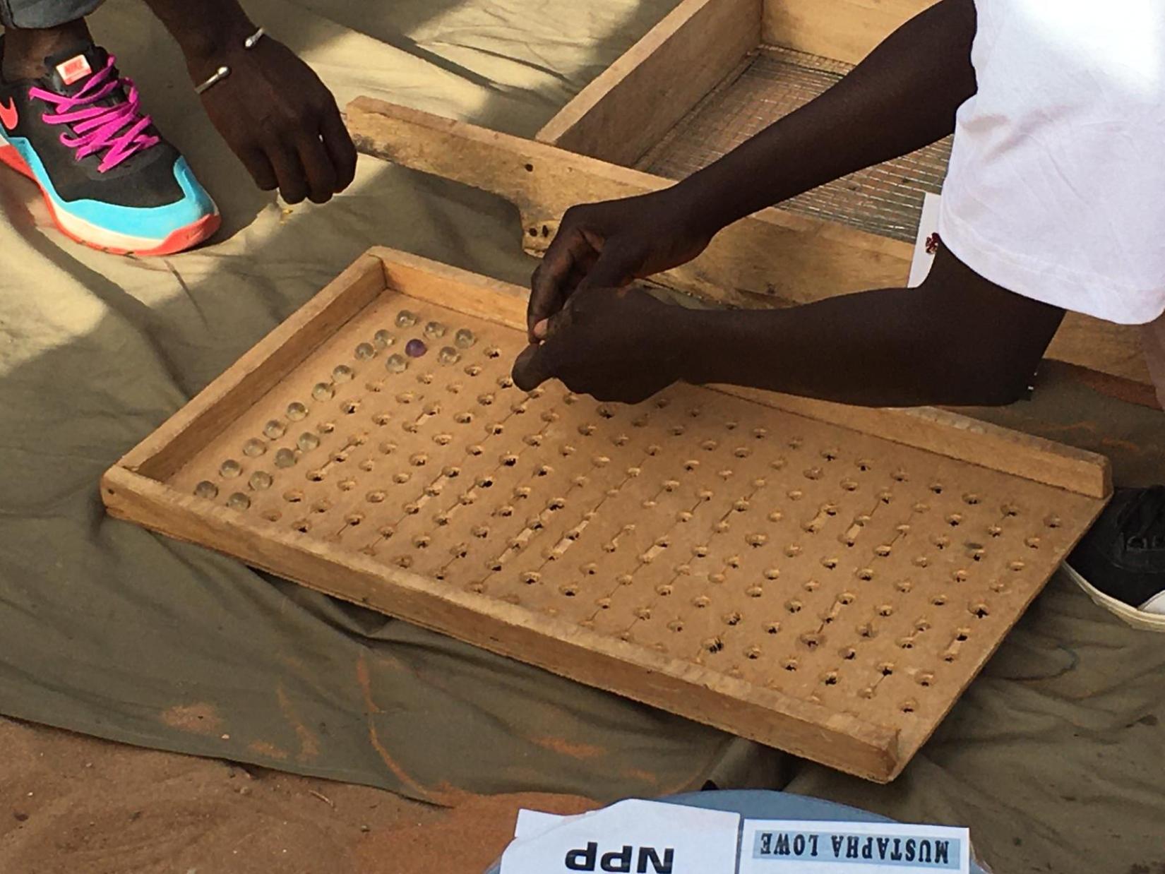 Gambian Voting System