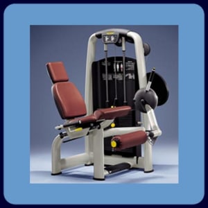cardio-e-isotonico - Leg extension - technogym