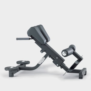 cardio-e-isotonico - Lower back bench - technogym