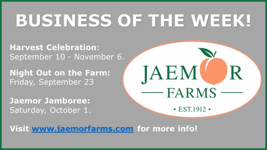 Lula, GA / Business of the Week!