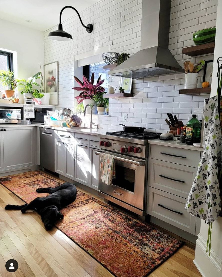 The dog enjoys natural light pouring into Michele Martela's kitchen featuring decorative use of plants against white subway tiles.