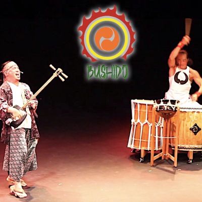 Photo of Japanese instruments duo performance
