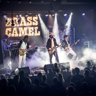 Photo of Brass Camel