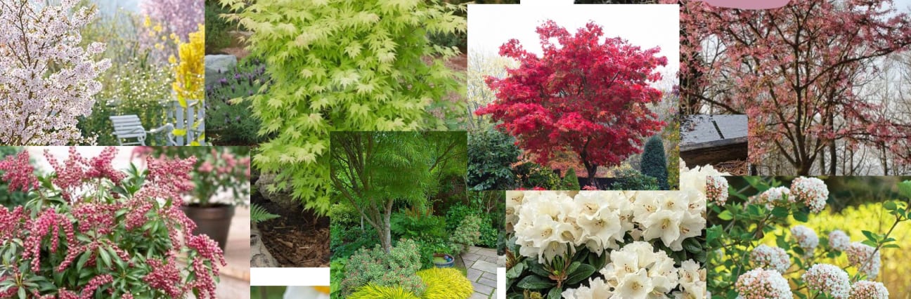 Garden Landscaping in South Devon