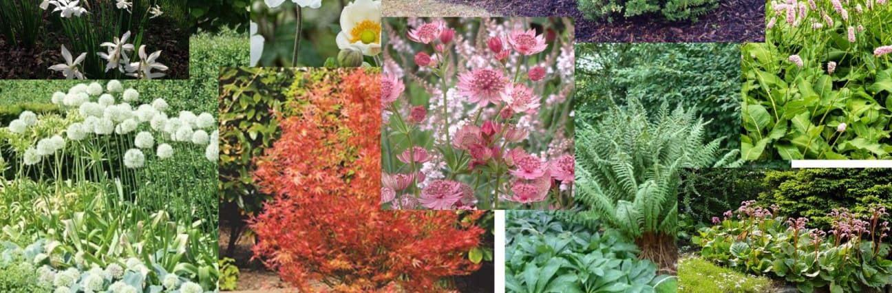 Garden Makeover in South Devon