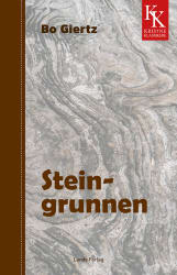 Steingrunnen (E-bok)