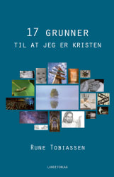 17 grunner til at jeg er kristen (E-bok)