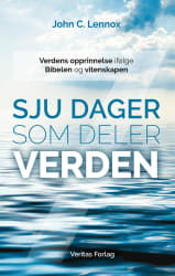 Sju dager som deler verden (E-bok)