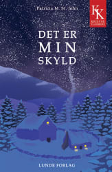 Det er min skyld (E-bok)