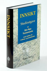 Innsikt