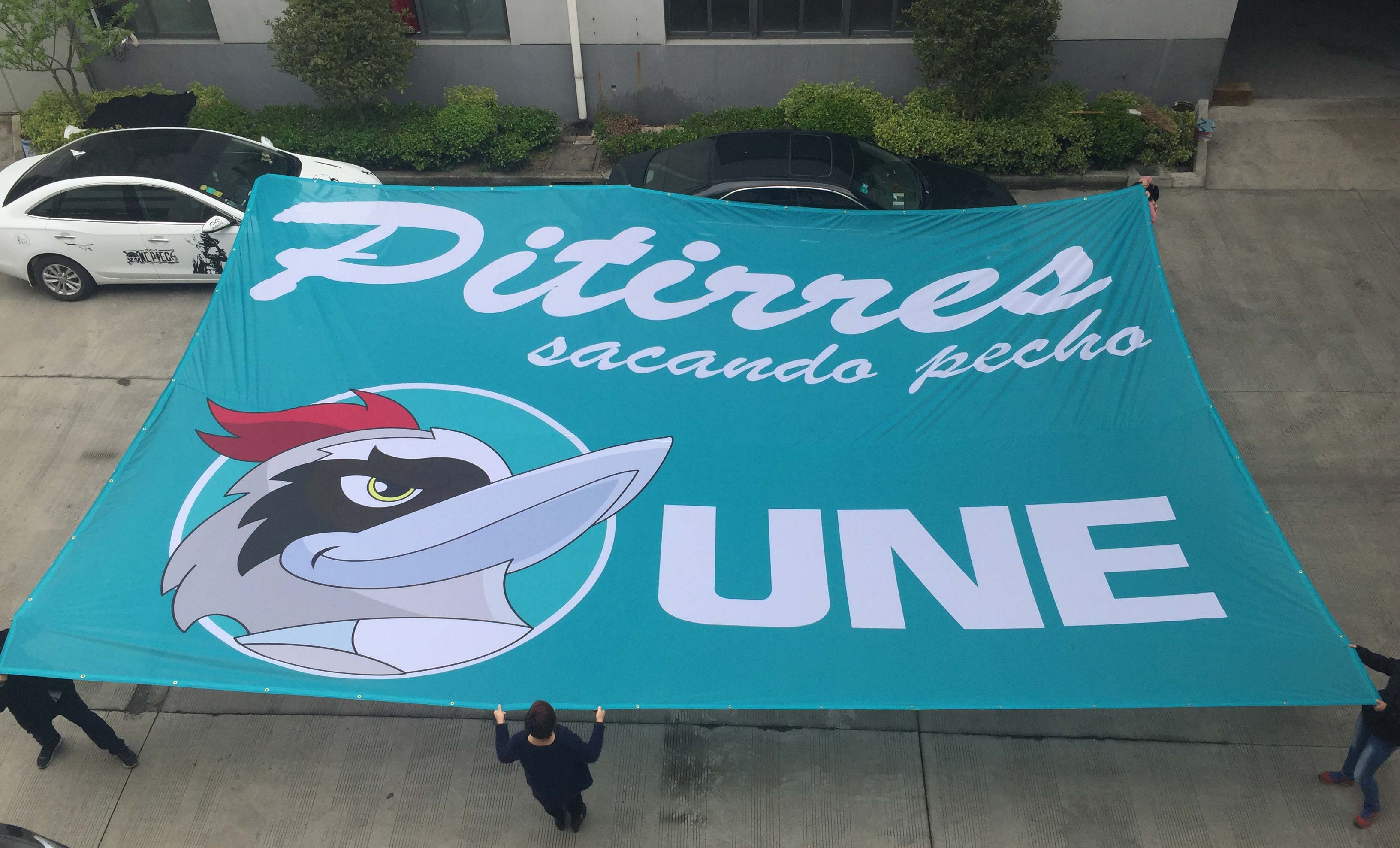 Large Banners | Lush Banners