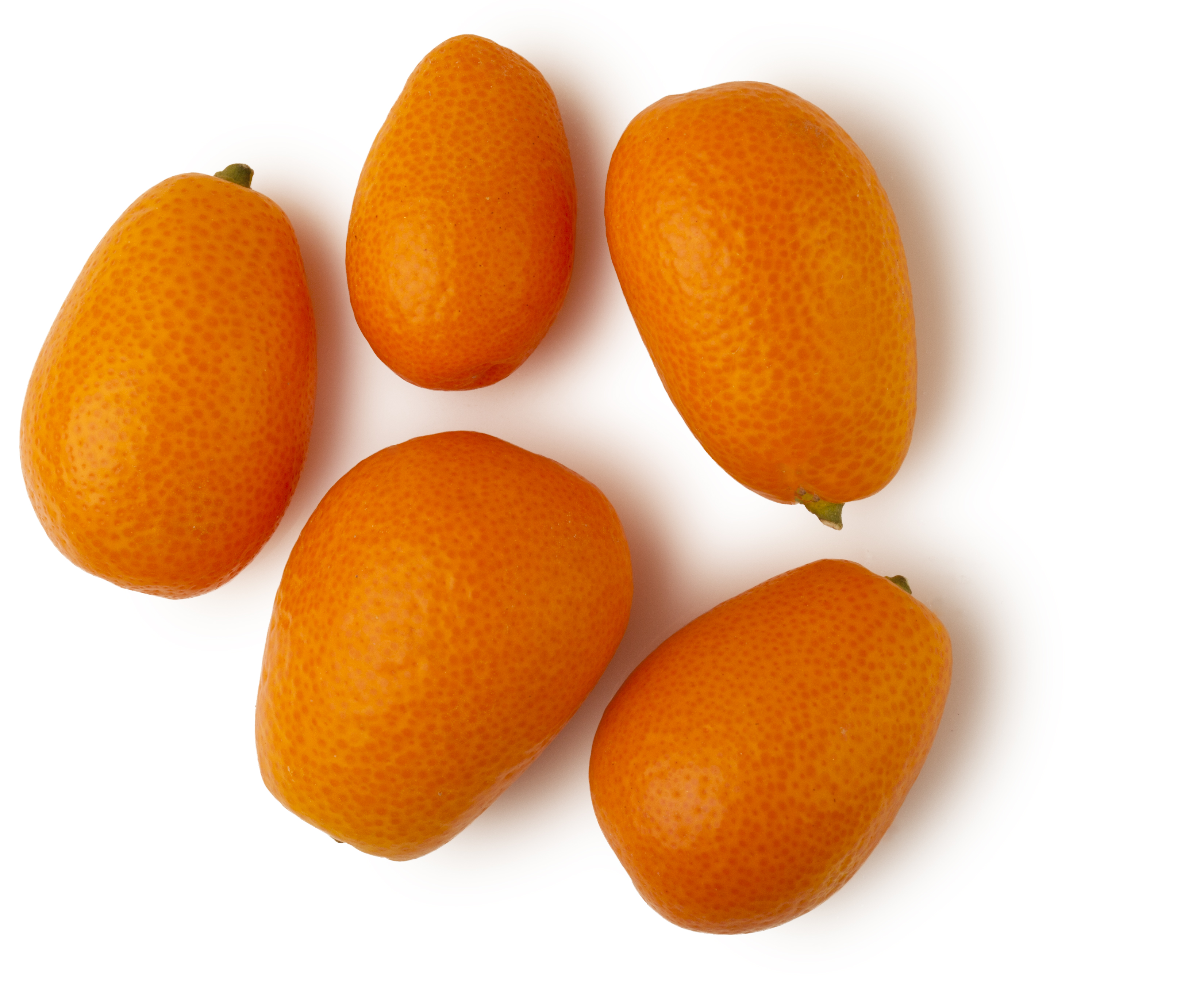 キンカン果汁 ラッシュ公式サイト Lush Fresh Handmade Cosmetics