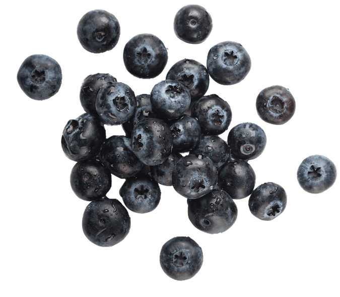 A scatter of blueberries