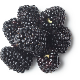Blackberries Blackberries
