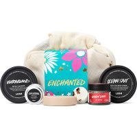 Enchanted Gift muslin cloth wrapped gift with blue label and products around it