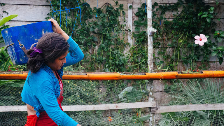 Peace community harvesting