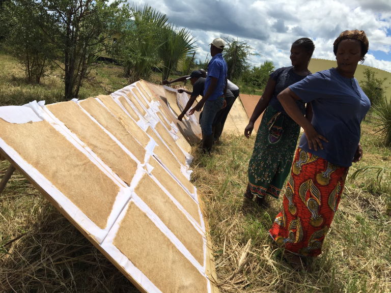 Banana fibre sheets drying in Zambia Banana fibre sheets drying in Zambia