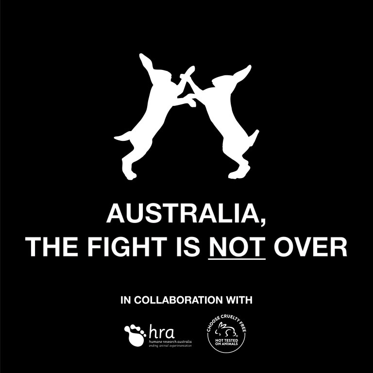 Fighting Animal Testing Fighting Animal Testing