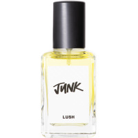 Junk 30ml perfume Junk 30ml perfume