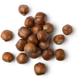 hazelnuts