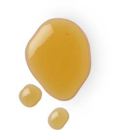 Maple Syrup Maple Syrup