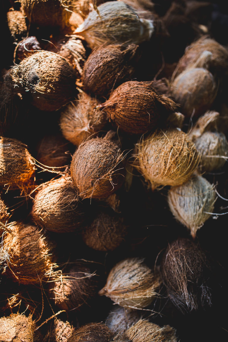 Coconuts Coconuts