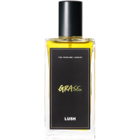 Lush 100ml Grass Perfume A bottle of Grass Lush perfume. The perfume is orange/brown in colour and contained in a rectangle bottle featuring a black lid and label.