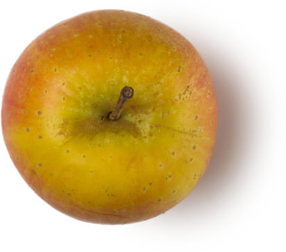 Apple Ingredient A red and brown apple