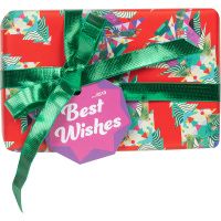 Best Wishes Christmas Gift best wishes christmas gift
